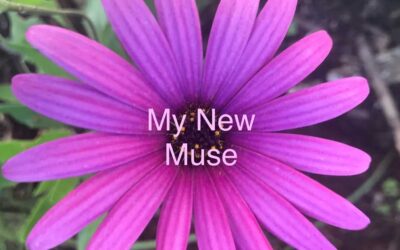 The Booze Muse