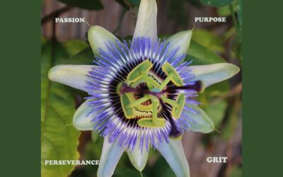 A Ration of Passion