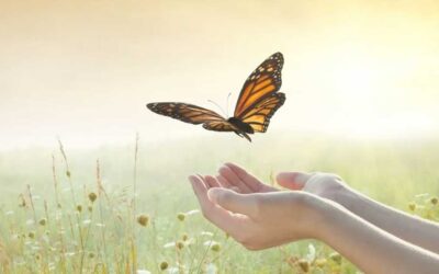 Letting Go