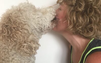 Blog#75 – Paws for Connection