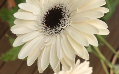 Blog#84 – On Being Ordinary