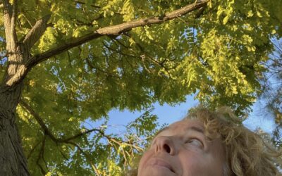 Blog#87 – Looking For Answers