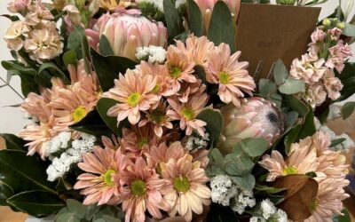 Blog#100 – For Crying Out Loud