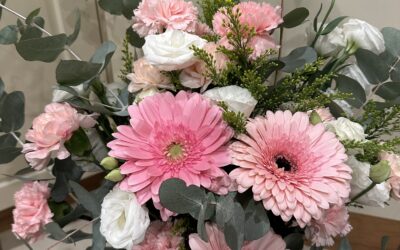 Blog#112 – The Life I Stopped Leaving