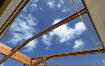 Blog#115 – The Room Without a Roof